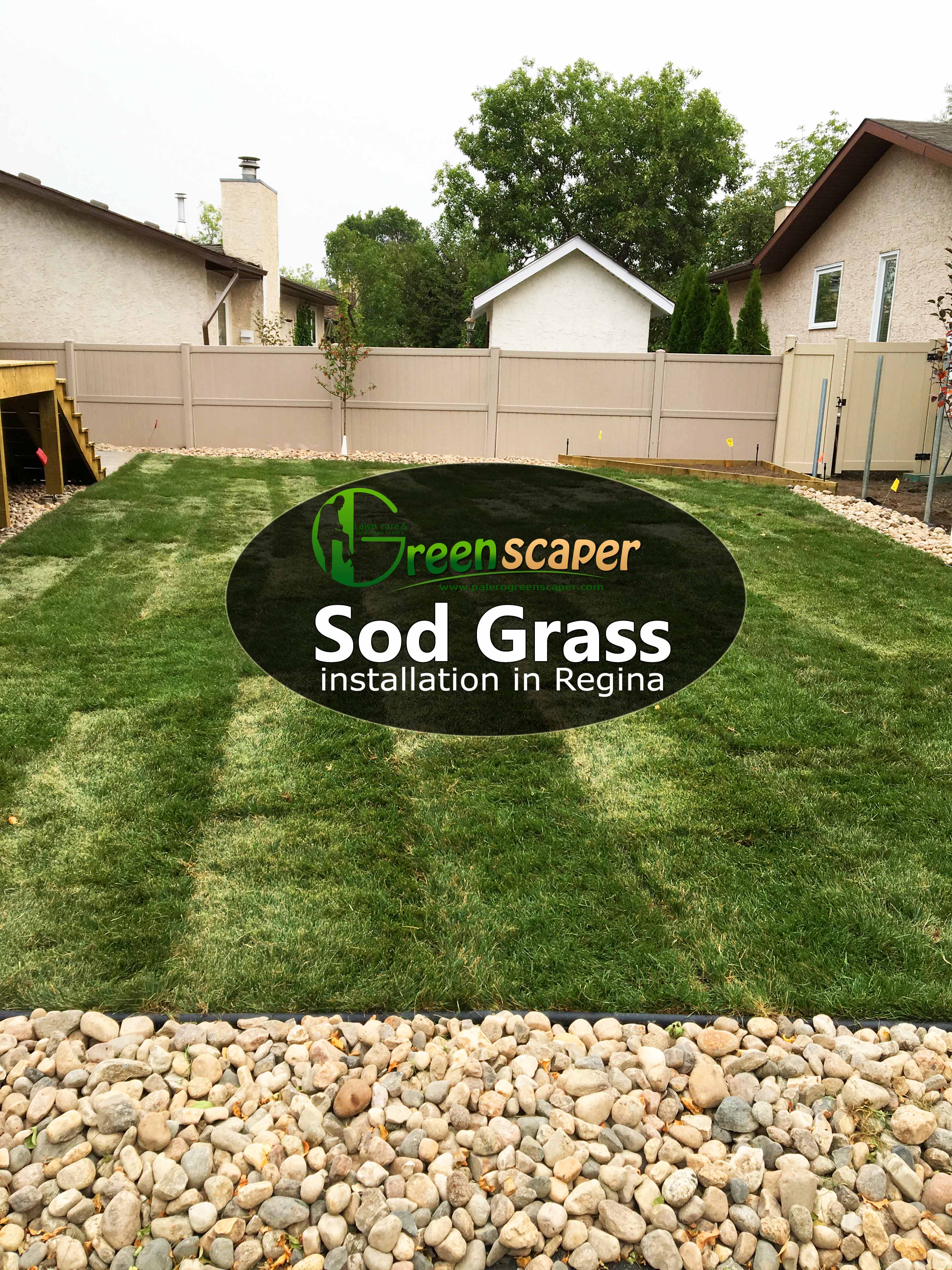 Sod Grass Installation in Regina