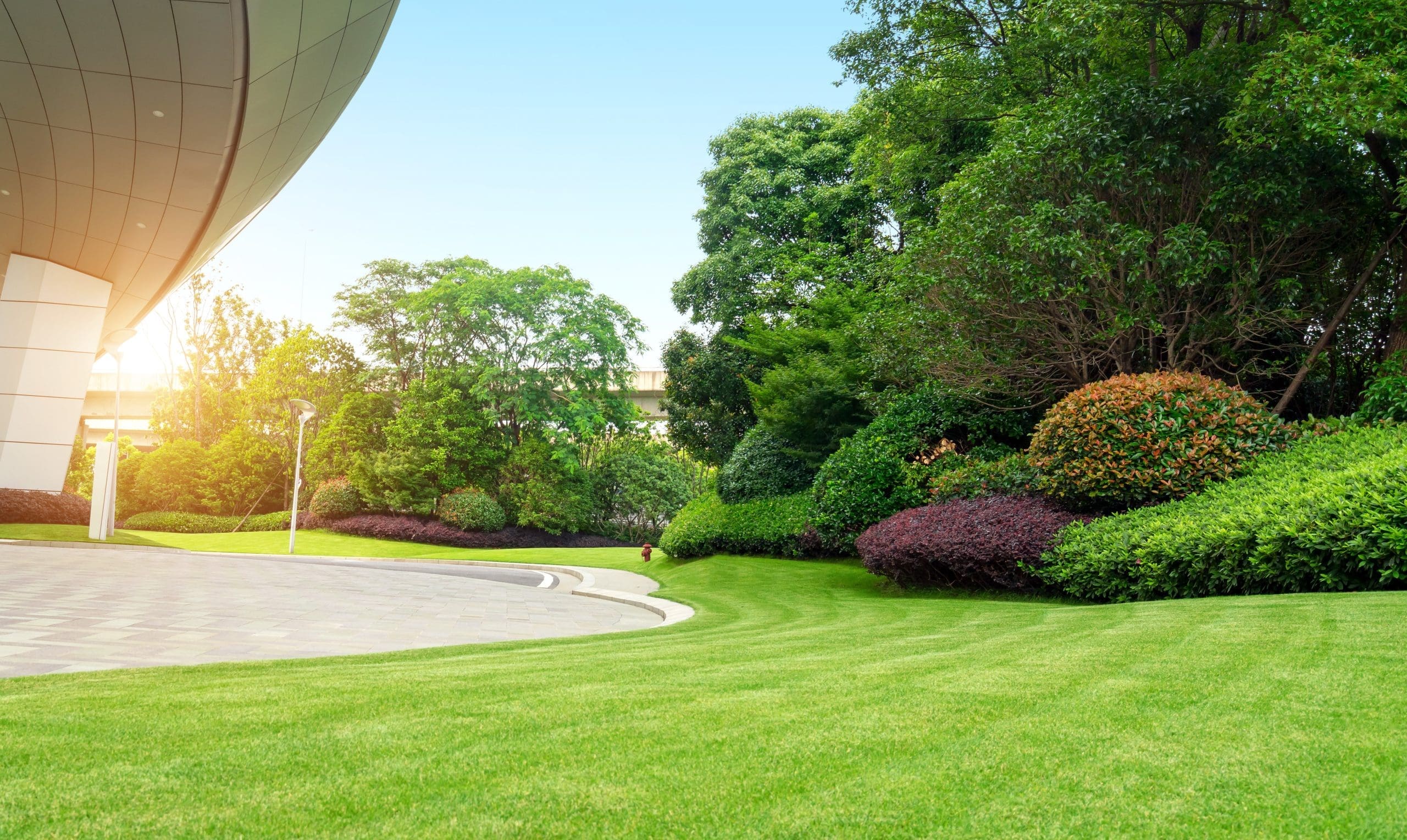 Modern Commercial landscaping company