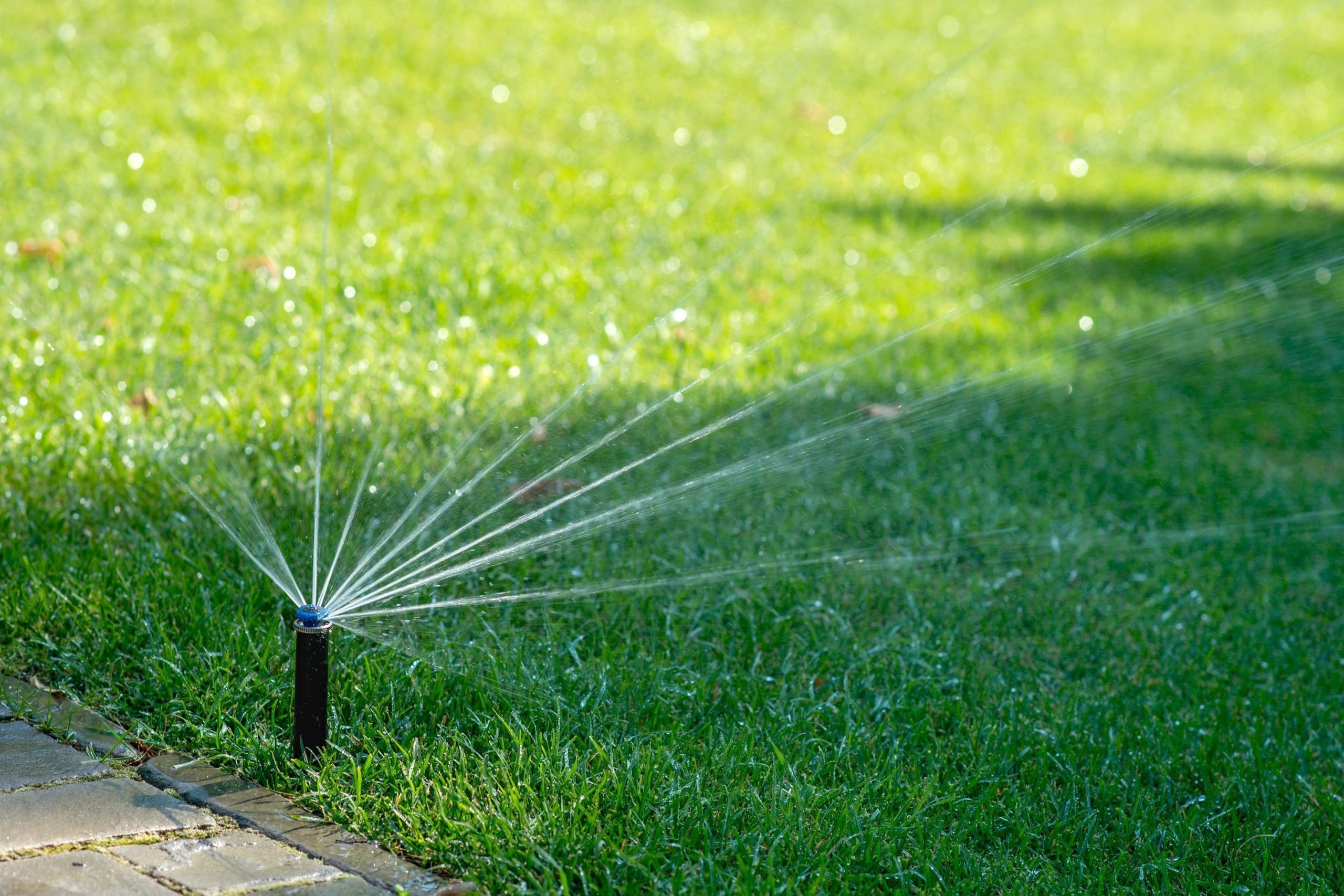 Drip irrigation
