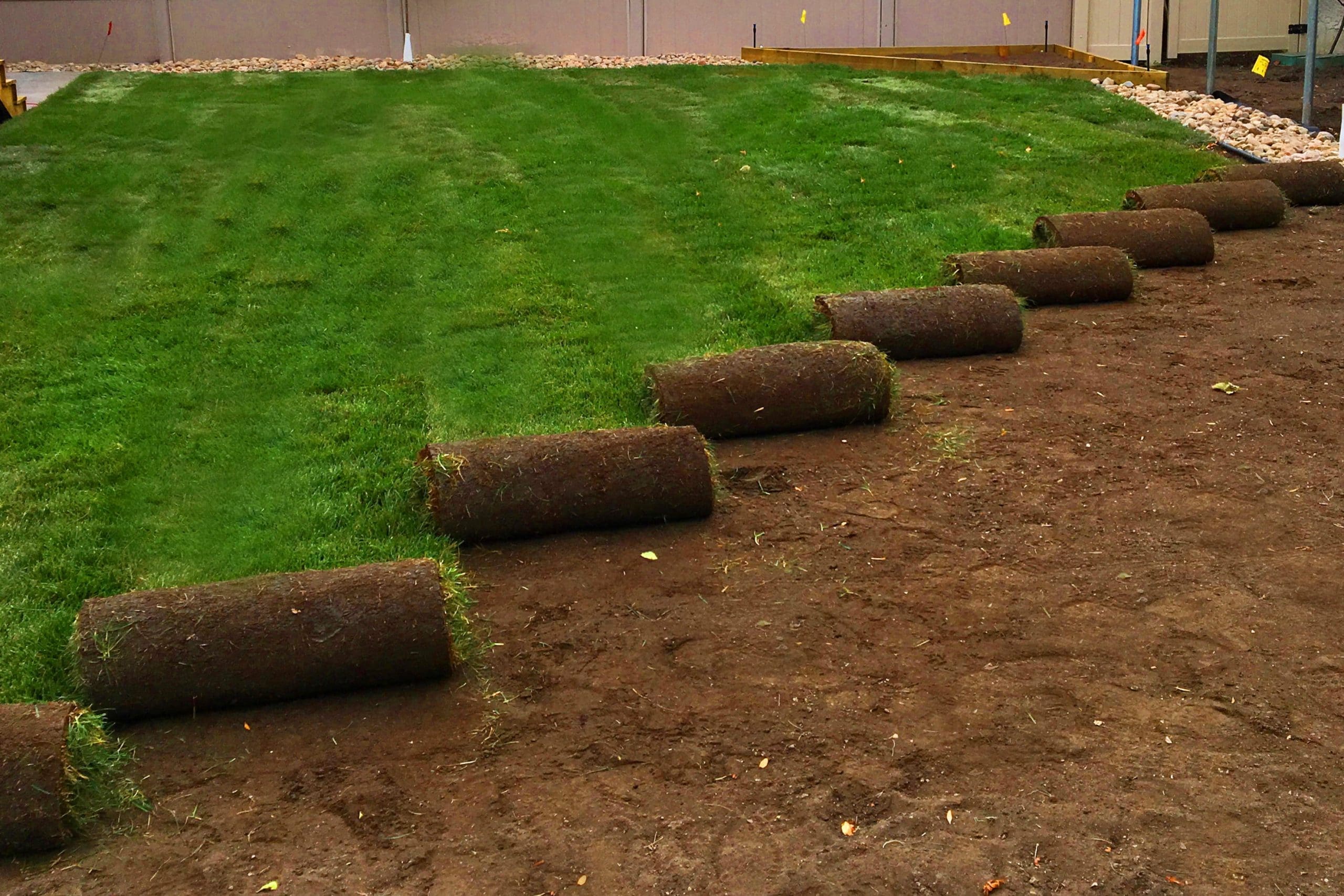 Great sod installation