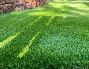 Artificial Turf Installation