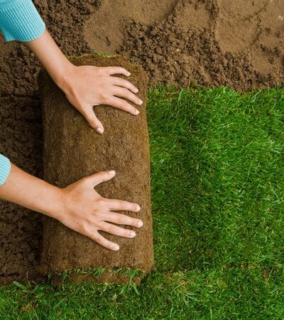 Sod installation