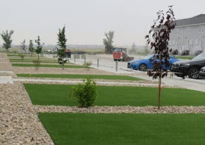 Landscape renovation for businesses