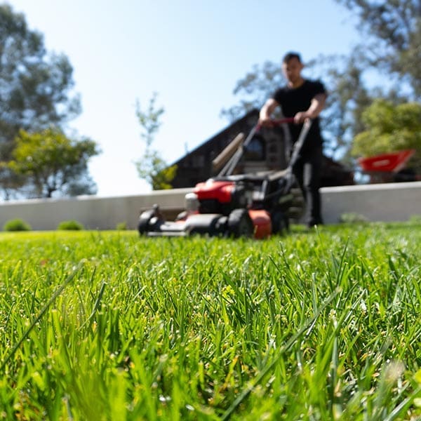 Commercial Lawn maintenance