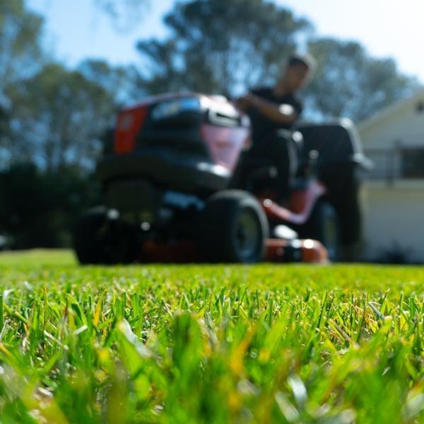 Commercial lawn mowing